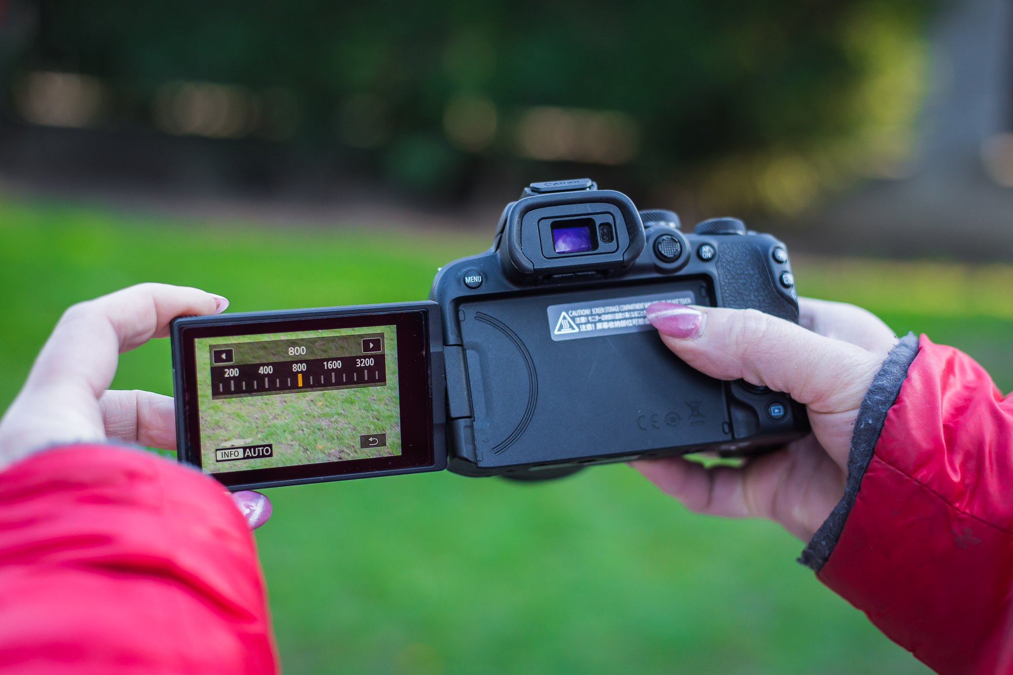 Canon EOS R10 image 9