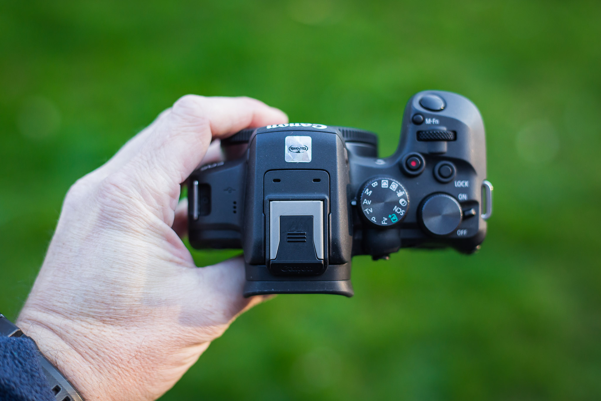 Canon EOS R10 image 5