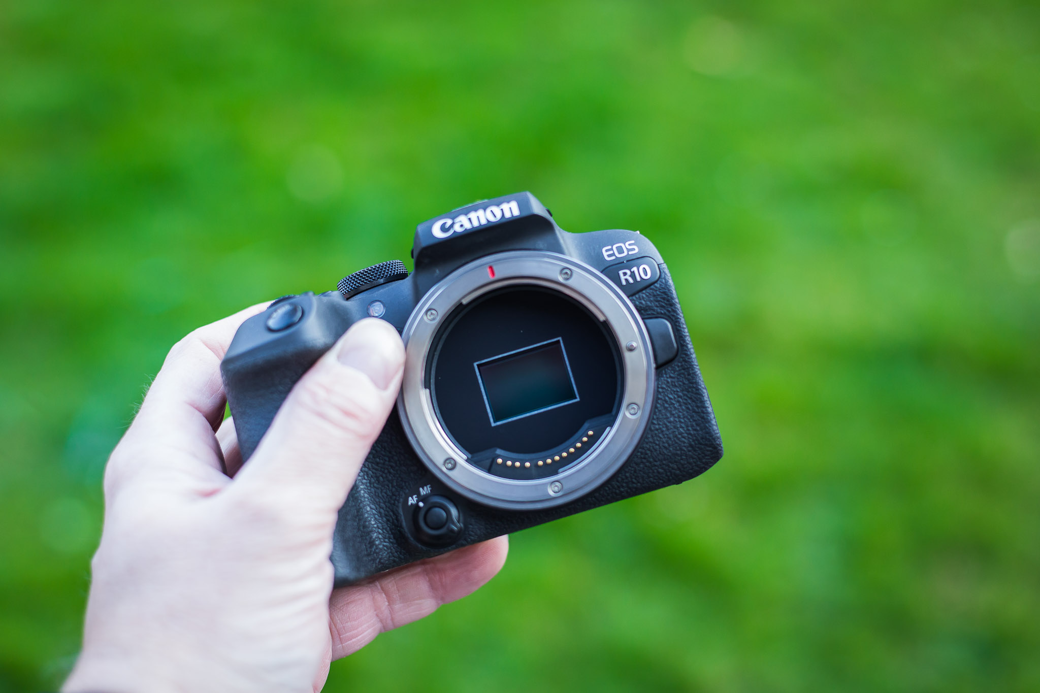 Canon EOS R10 image 6